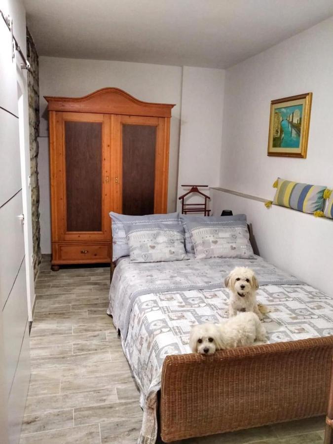 Apartment Trieste M&M Múggia Dış mekan fotoğraf