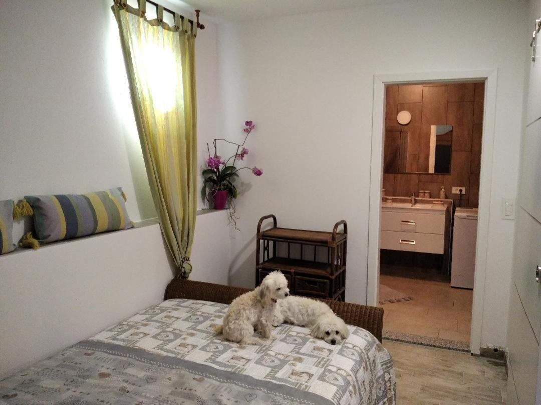 Apartment Trieste M&M Múggia Dış mekan fotoğraf