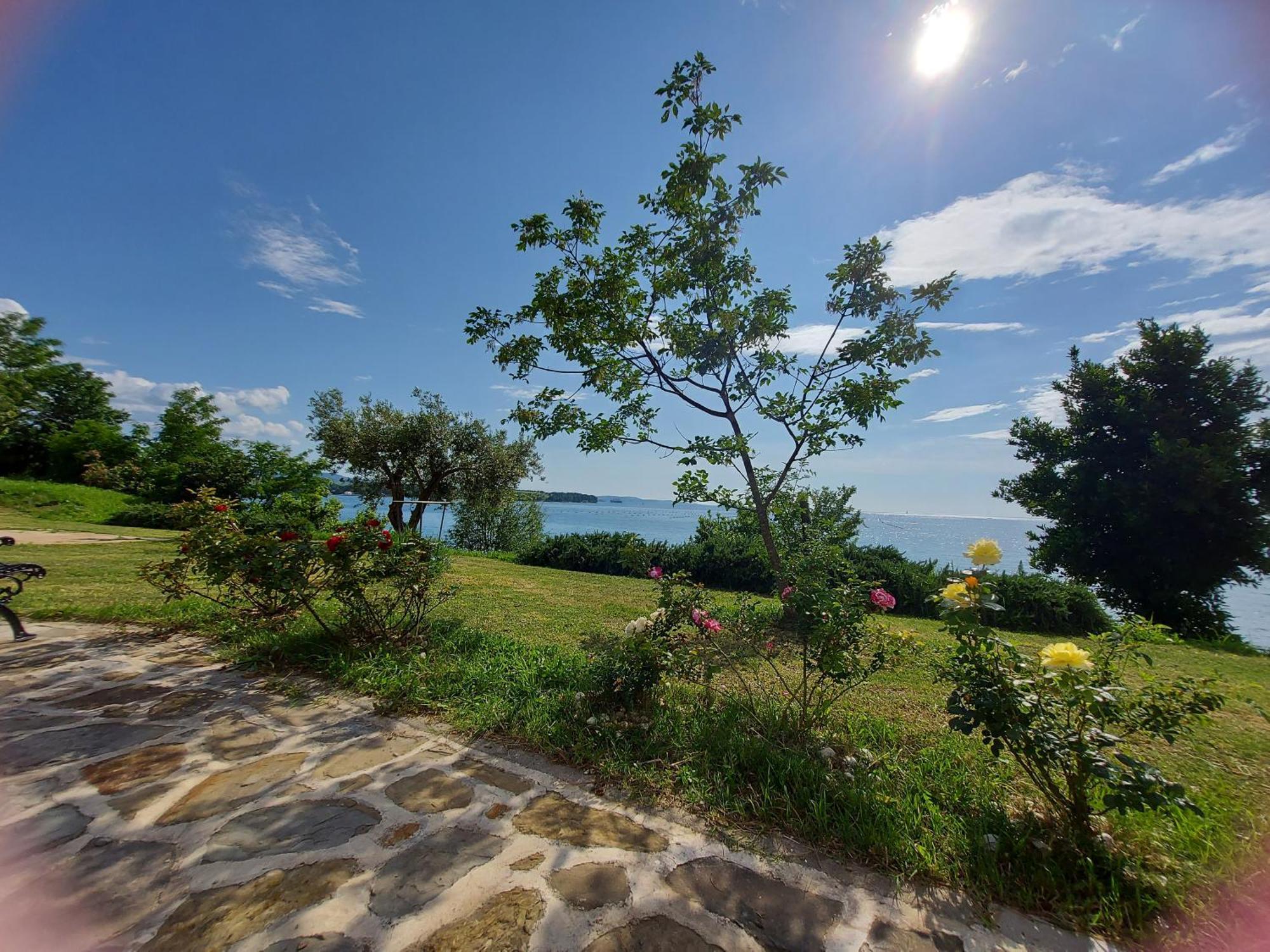 Apartment Trieste M&M Múggia Dış mekan fotoğraf